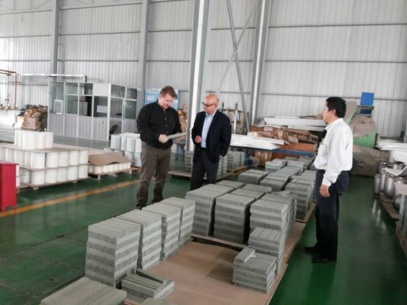 Sic Diesel Particulate Honeycomb Ceramic Filters (SiC DPF)