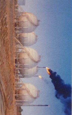 Manufacturer of Cordierite Honeycomb Ceramic Heater